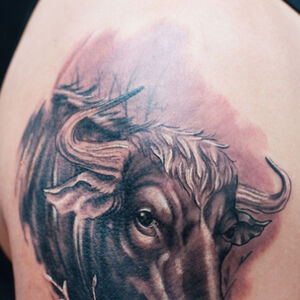 Season Two Ink Master Wiki Fandom