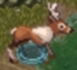 ReindeerLarger