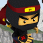 Ninja-master