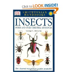 Insects Book