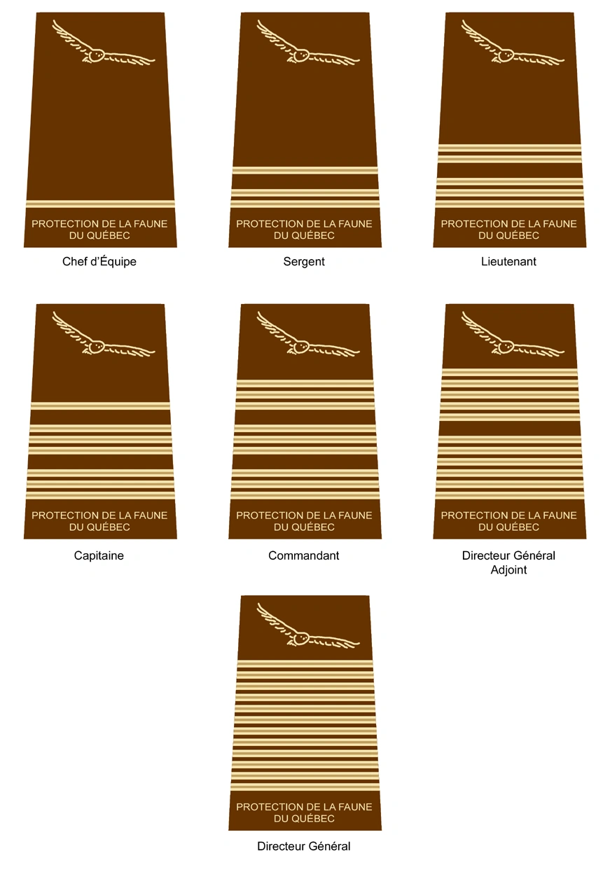 Ministère des Forêts, de la Faune et des Parcs (Quebec) Insignias