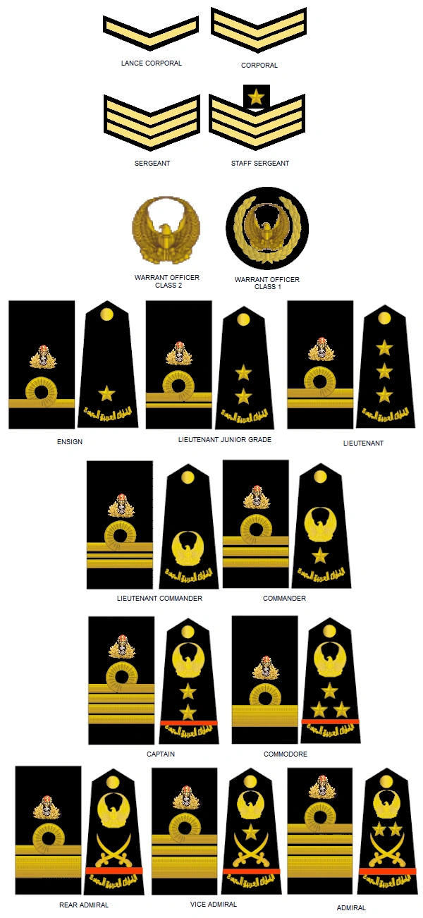 United Arab Emirates Armed Forces Insignias Wiki Fandom