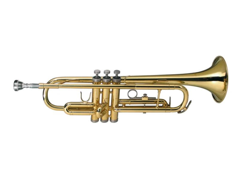 KategoriaTuba Instrumenty Wiki FANDOM powered by Wikia