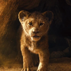 The Lion King 2019 Film International Dubbing Wiki Fandom