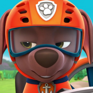 Image - Zuma (PAW Patrol).png | International ...