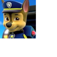 Chase Paw Patrol Link International Entertainment Project