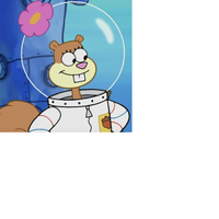 Sandy Cheeks Spongebob Squarepants Link International Entertainment Project Wikia Fandom