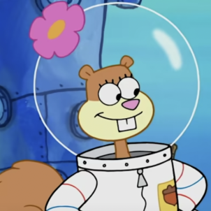 Sandy Cheeks | SpongeBob SquarePants[link] | International ...