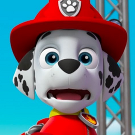 Marshall PAW Patrollink International Entertainment