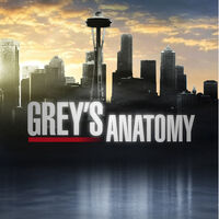 Grey S Anatomy International Broadcasts Wiki Fandom