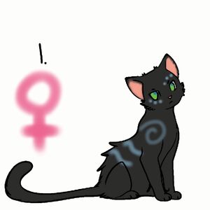 Crazy S Adoptables Into The Wild Warrior Cats Fanon Wiki Fandom