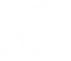 Sprint icon