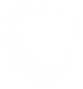 Condition icon