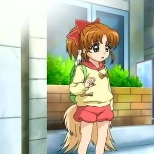 Tomohane Inukami Series Wiki Fandom
