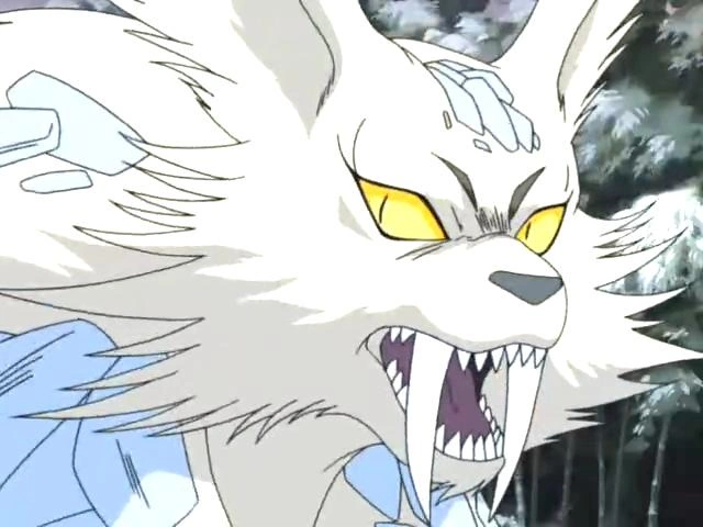 Snow leopard | InuYasha | Fandom