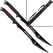More dual blade
