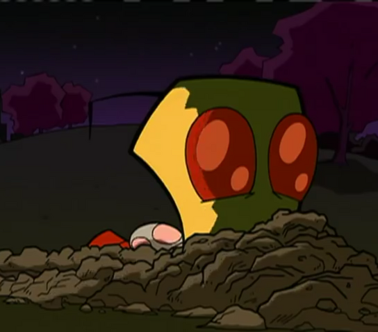 Datei:Zim 1.png