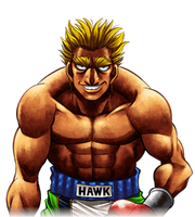 Hawk ps3