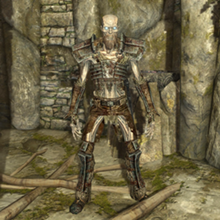 Draugr Scourge