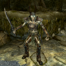 Draugr Death Overlord