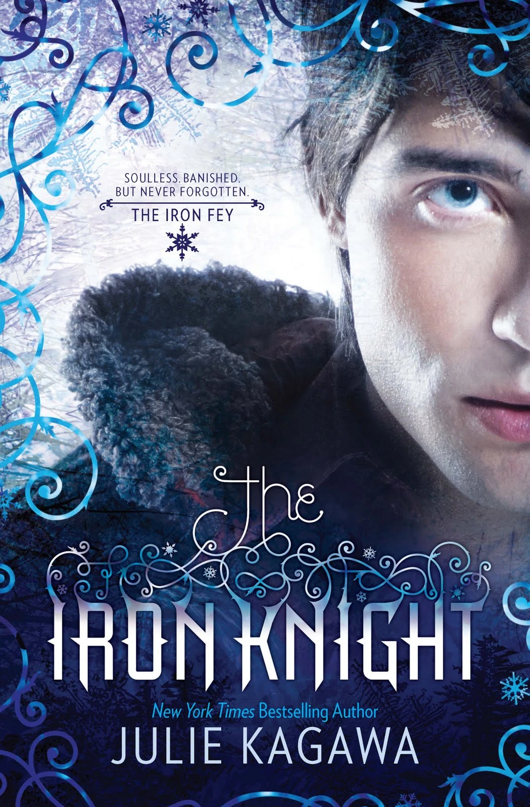 The Iron Knight Iron Fey Wiki FANDOM powered by Wikia