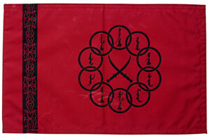 Ten Rings Flag