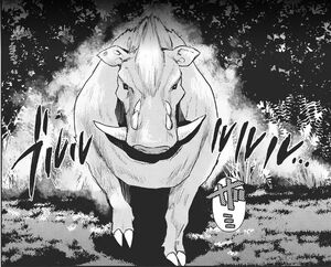 Wildlife - Giba