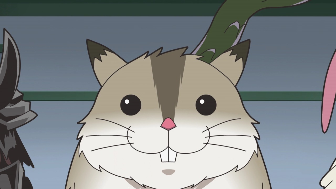 Hamsuke | Isekai Quartet Wiki | Fandom