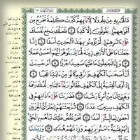 Quran Halaman 294 293 Ensiklopedia Islam Fandom
