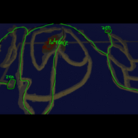 Zenyte Locations Island Tribes Wiki Fandom