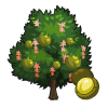 100 Macadamia