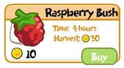 Raspberry