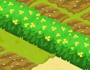 FloweryHedge