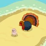 Turkey 1