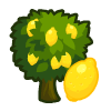 100 Lemon