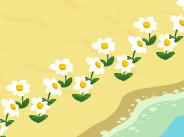 Daisies