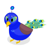 100 Peacock