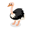 100 Ostrich