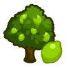 100 Lime