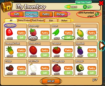 Inventory Button Island Paradise Wiki Fandom