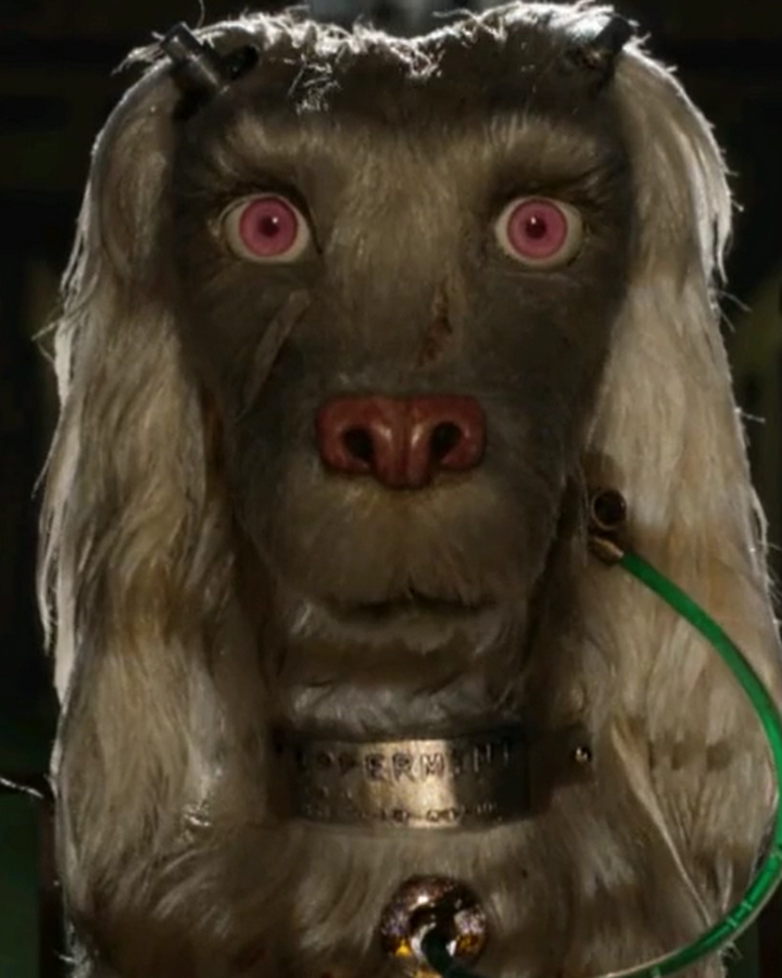 Peppermint Isle Of Dogs Wiki Fandom
