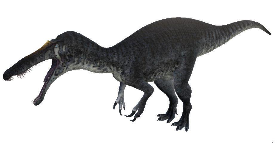 baryonyx suchomimus