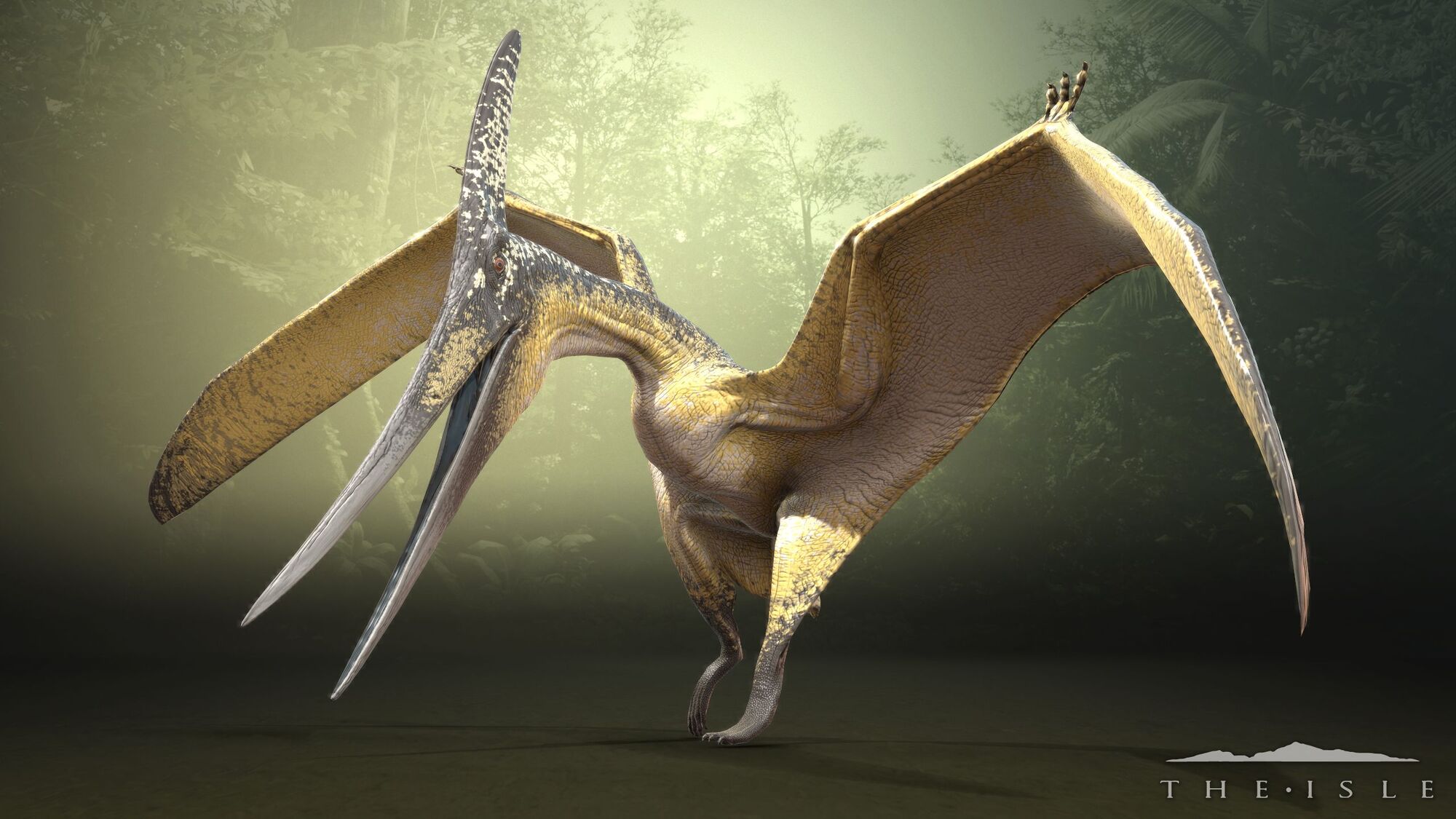 Pteranodon				Fan Feed