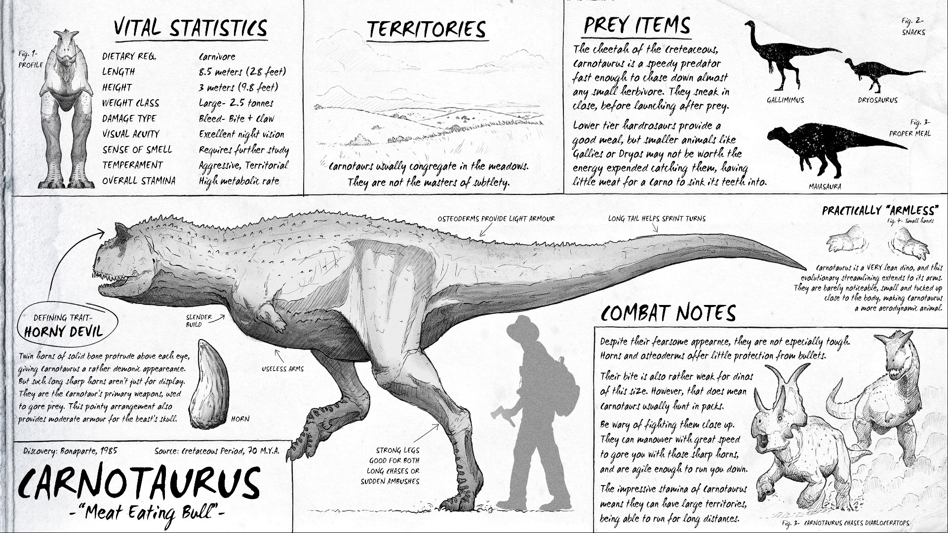 Image Result For Patch Car Image Result For Patch Car