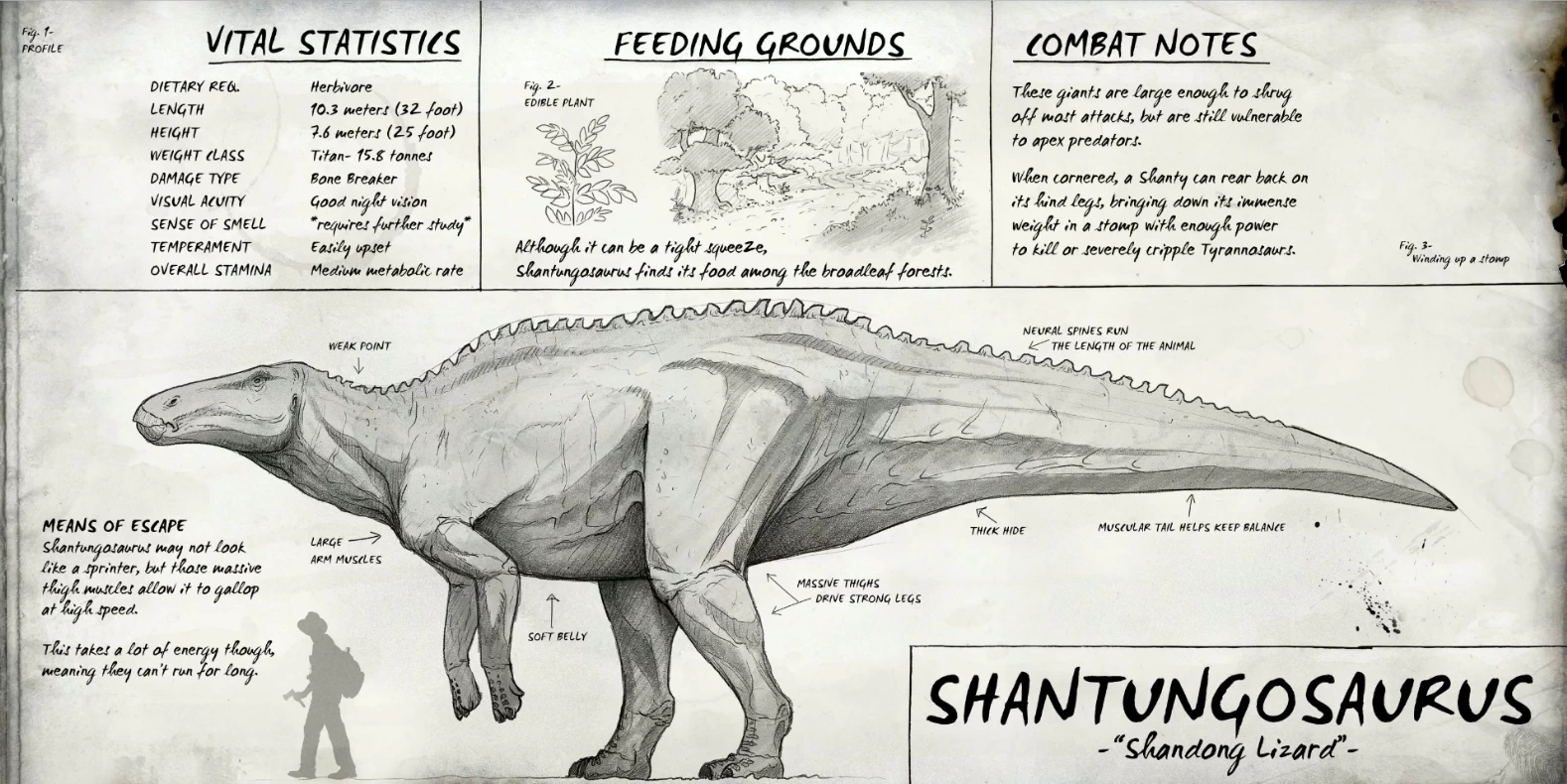 Image Shantungosaurus Dossier The Isle.png The Isle Wiki FANDOM