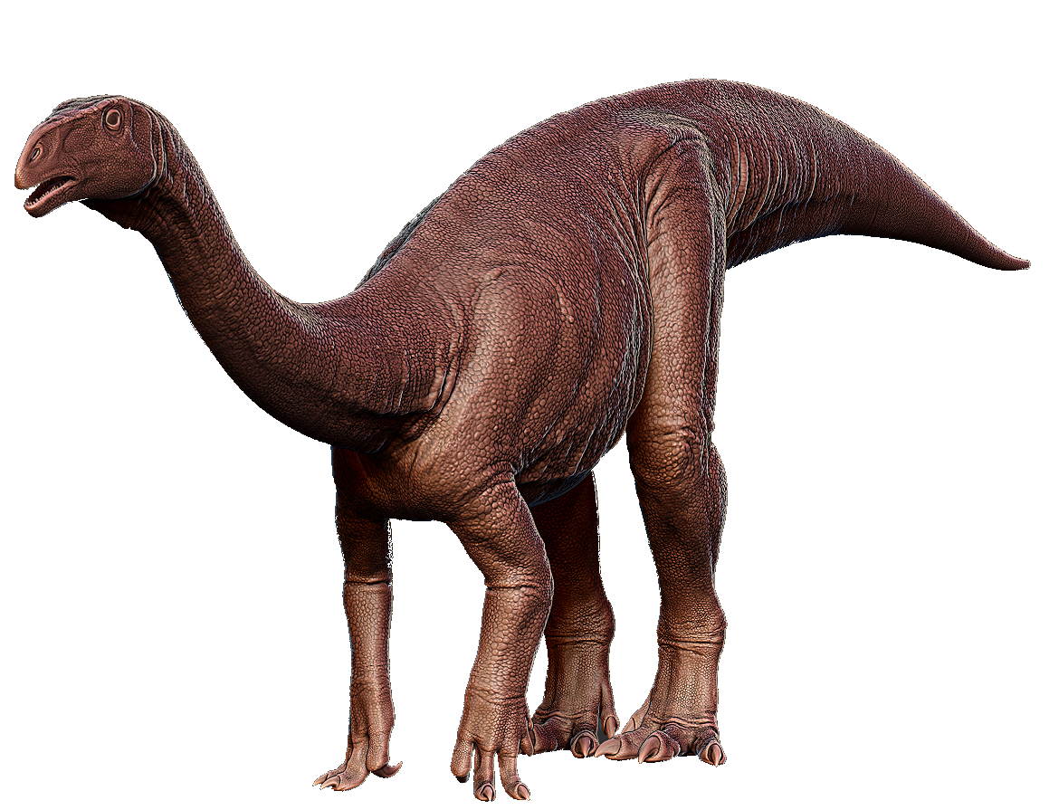 Plateosaurus The Isle Wiki Fandom 