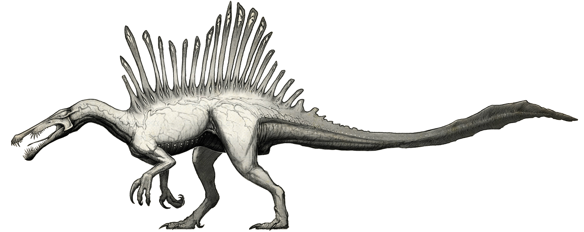 Neurotenic Spinosaurus | The Isle Wiki | FANDOM powered by Wikia