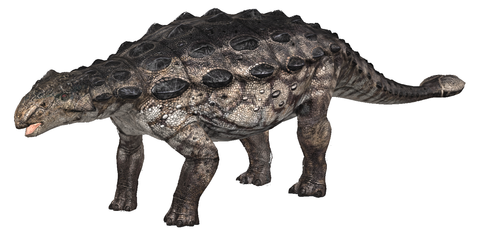 stegosaurus and ankylosaurus