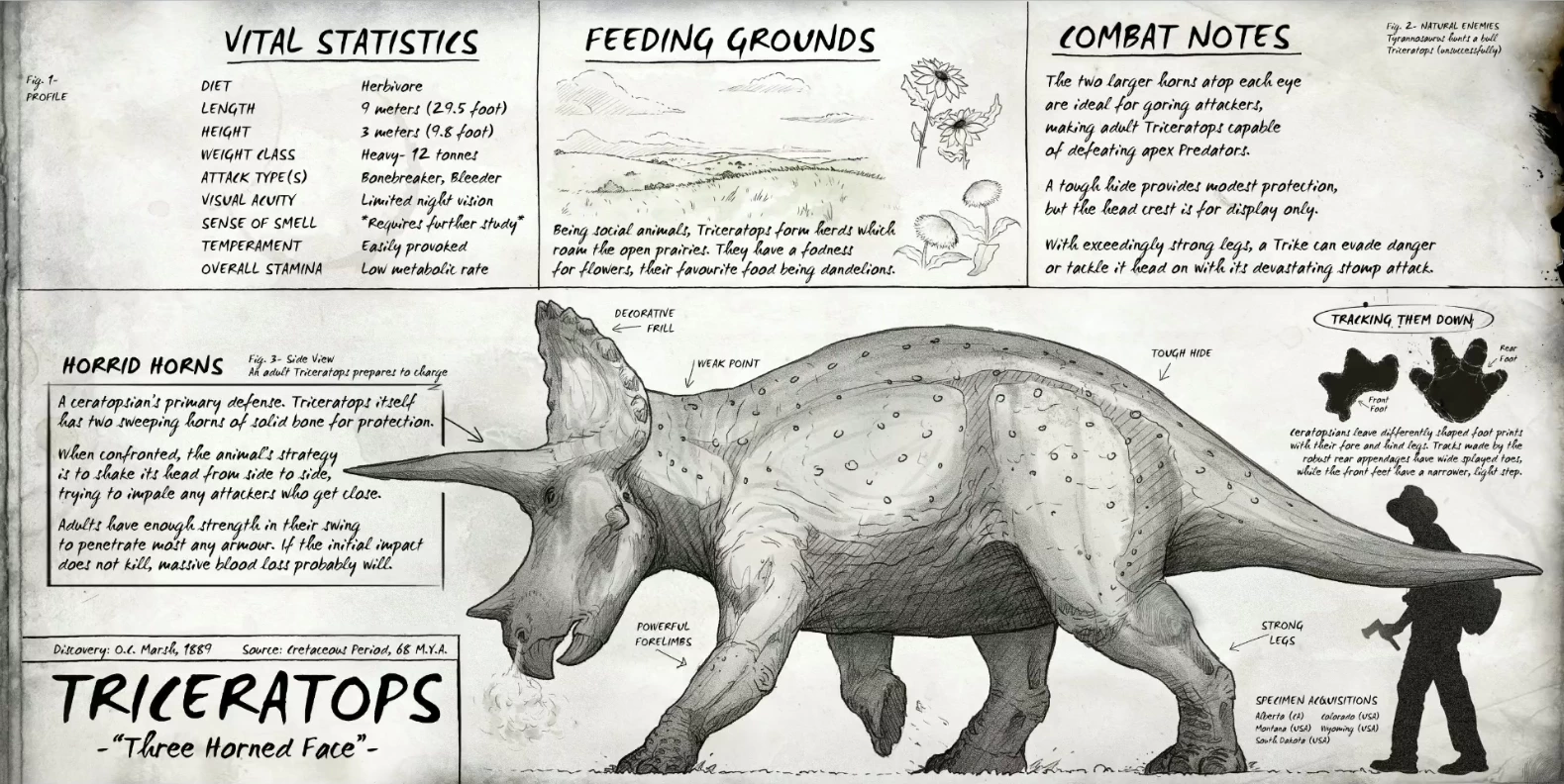 triceratops isle