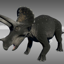 Triceratops The Isle Wiki Fandom